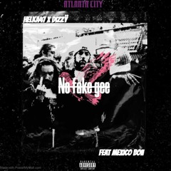 no fake gee