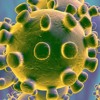 Coronavirus Type Beat ft. GTTC Coronavirus Type Beat ft. GTTC