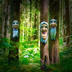 The Enchanted Forest