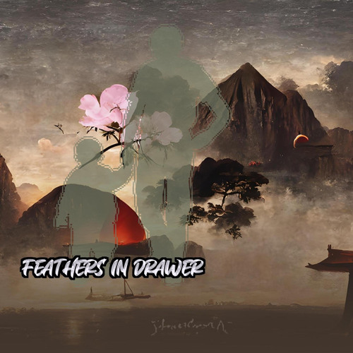 Feathers In Drawer