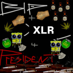 rail34 wit XLR/ANGEL