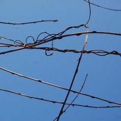 Monty Glen- Naughty but Nice