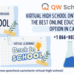 The Ultimate Guide to QW School Courses