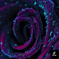 Grover Washington Jr - Just The Two Of Us (TikTok Remix)