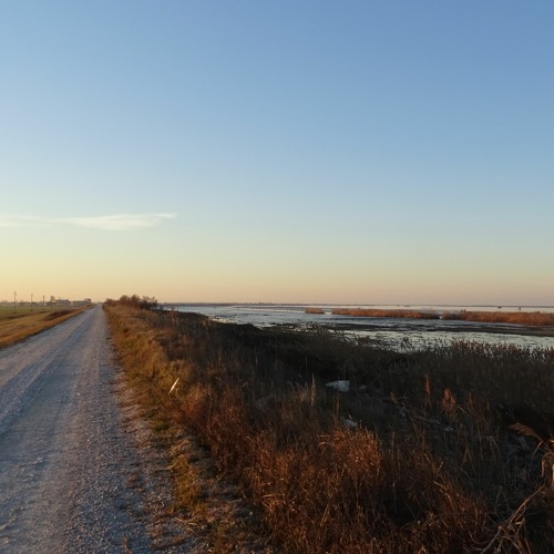 Mean Flow & Marco Lucchi - L'uomo che cammina