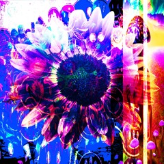 HiPPY HARDSTYLE