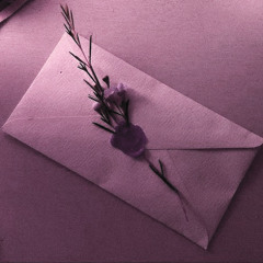 Letters Never Sent