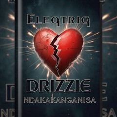 Eleqtriq Drizzle_Ndakakanganisa.m4a