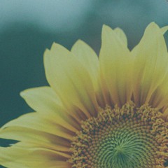 Mita Gami - The Sun (Amir Talmor Remix)