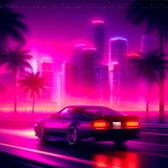 M I A M I   E X P L O R E R