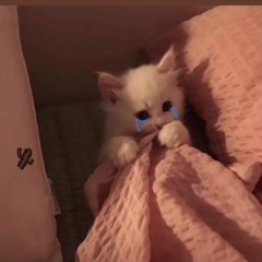 Anh Có Muốn Đưa Em Về Không (Lofi Ver.) - Ngô Lan Hương x Freak D