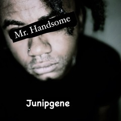 23703 (Purple Crows) (FINAL)