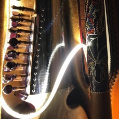 Improvisation for sarod and didgiridoo