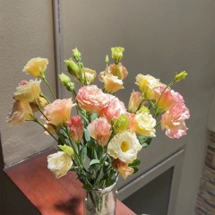 Mau Nuoc Mat - Le Quoc (Viet Anh)