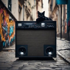 Bass n breaks