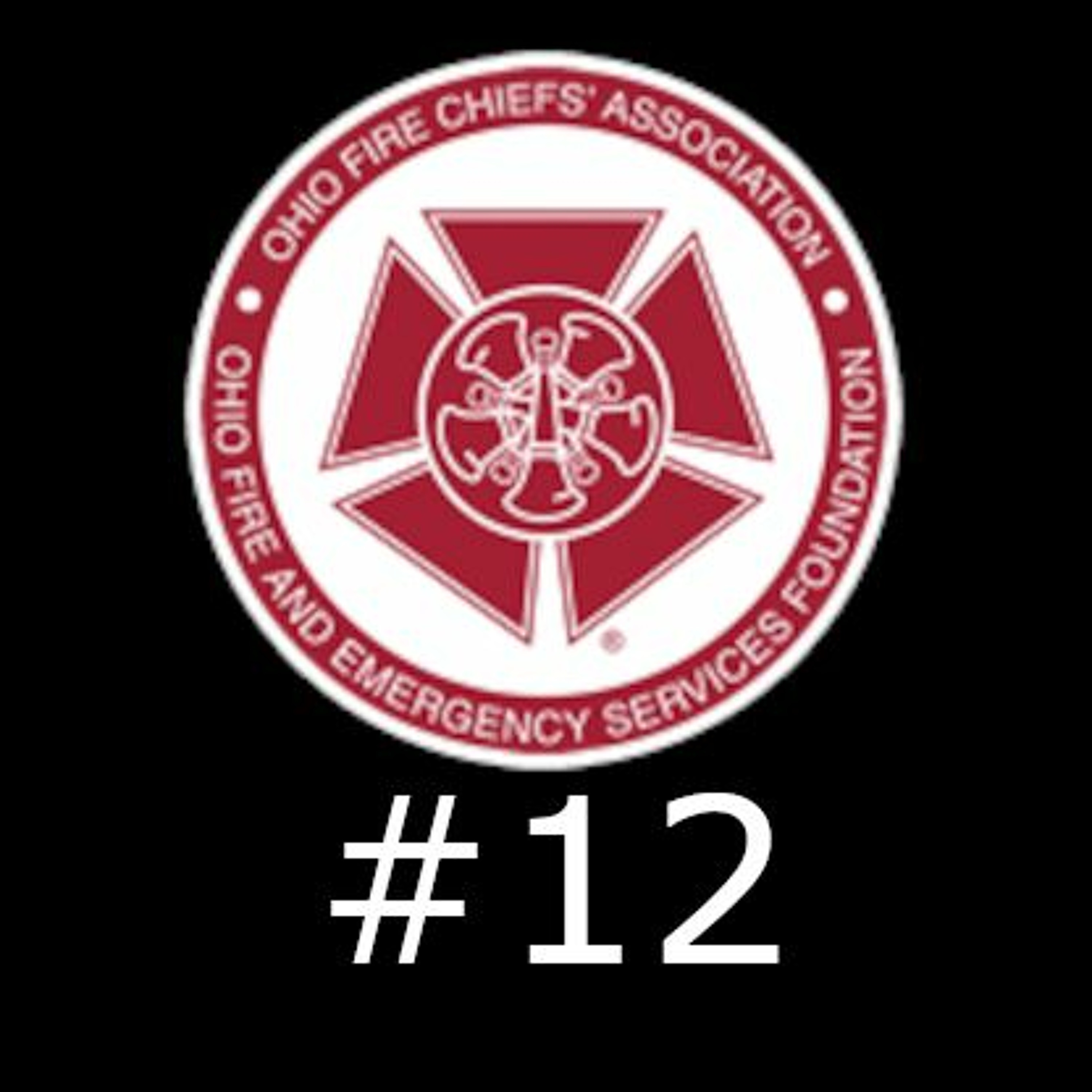 EPISODE 12 - Part 2 - Captain Brad French - The Company Officer as an Instructor episode artwork