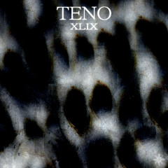 #49 - Teno