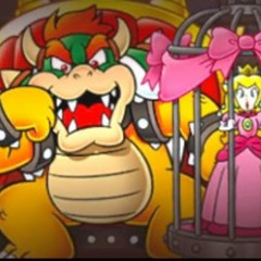 Bowser's Revenge