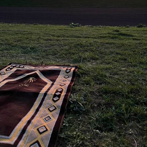 ما تيسر من سورة الكهف | د. عمرو سمير