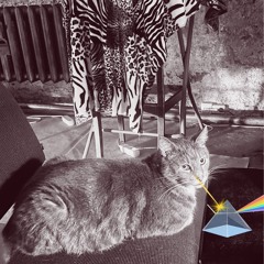 Laika's Housewarming Party / October ´24, Tallinn (remastered by Laika)