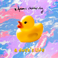 a duck's life