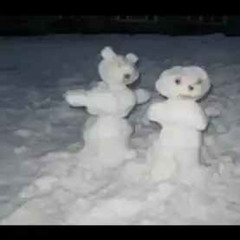 Snowpoint City