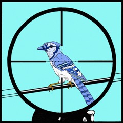 Bird Upon a Wire