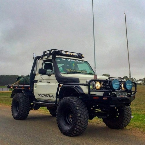 Cruiser Vibes