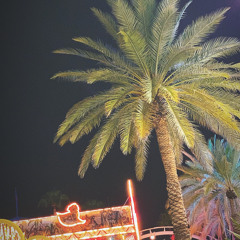 Not Basic (prod. yapmixedthat)