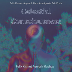Felix Kismet, Eric Prydz - Celestial Consciousness (Felix Kismet Rework Mashup)