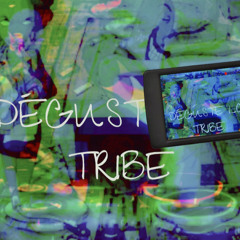 DEGUSTELATRIBE -  Tribe To Trip SET