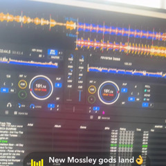 01 Reverse Bass X M Zone