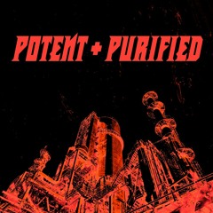 Potent & Purified // Vol. 1