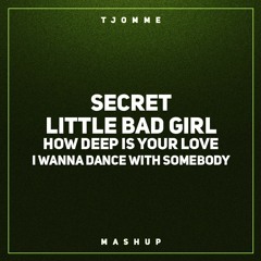 Secret vs Little Bad Girl vs How Deep Is Your Love vs I Wanna Dance With Somebody (tjomme mashup)
