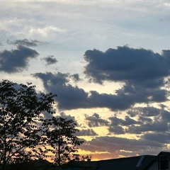 molberta-приголуб