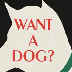Want A Dog?