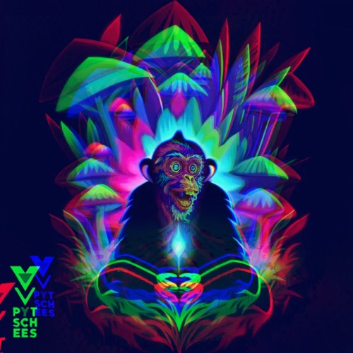 Pytschees - Universal Rights