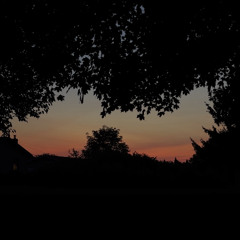 Fireflies