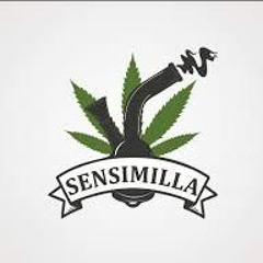 Sensimillia - Collie Buddz - DudTek Bootleg
