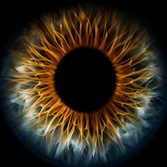 David Perrier - Flight of the night owl (Original Mix)