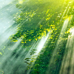 Breaking Free (feat. Lotus Sky)