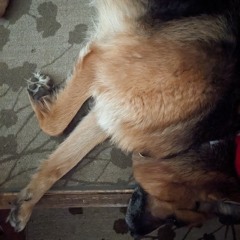 Conoley Ospovat + Flo_Res @ etc 2025.09.19