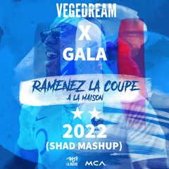 Vegedream x Gala - Ramenez La Coupe à La Maison x Freed From Desire (Shad Mashup)