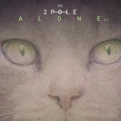 2Pole - Be Alone (BGZY Rework) Free D/L