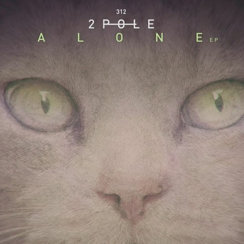 2Pole - Be Alone (BGZY Rework) Free D/L