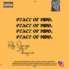 PEACE OF MIND[Single]