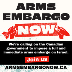 Arms Embargo Campaign, No More Loopholes Act & Riding Groups (996)