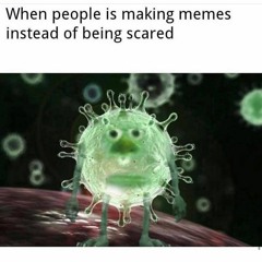High Energy Bro