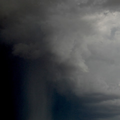 Night Thunder and Heavy Rain in Aspen Grove with Broadleaf Understory