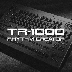TR-1000 - Analog 809 Demo